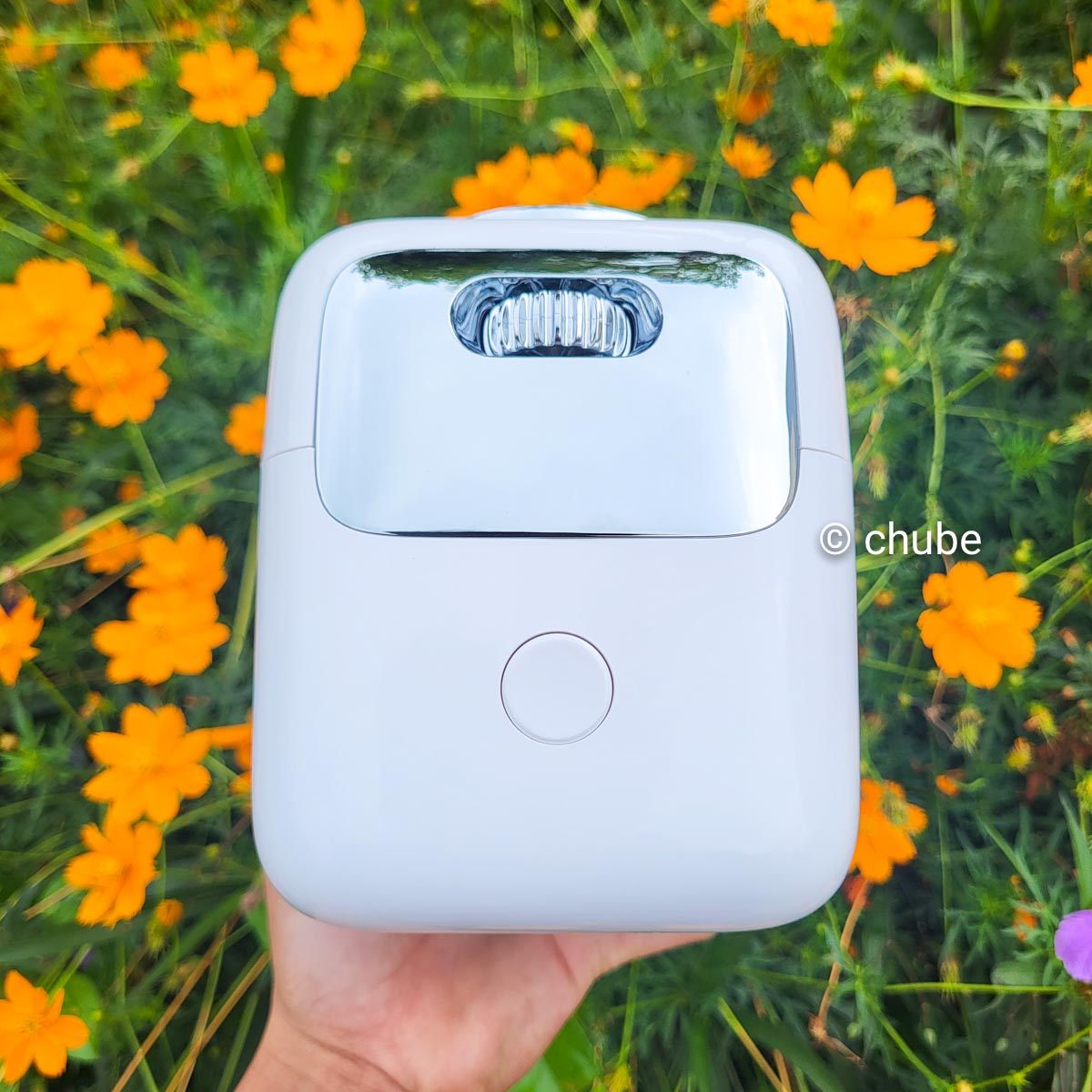 Máy chiếu Wanbo T2R MAX – trình chiếu hình ảnh thực tế